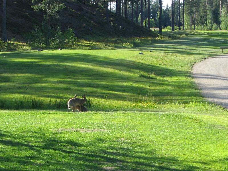 golf1 063.jpg